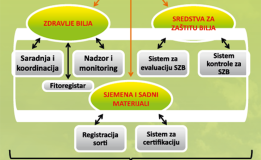 Projekat