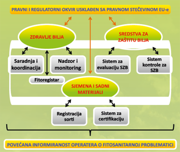 Projekat