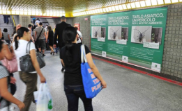 Public awareness: a useful tool for the early detection and a successful eradication of the longhorned beetles Anoplophora chinensis and A. glabripennis